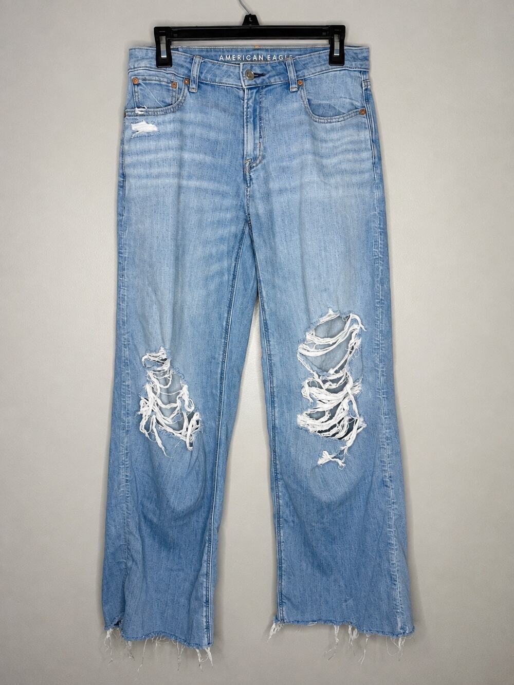 American Eagle Low-Rise Baggy Wide Leg Distressed Jeans Size 2 Long Light Wash